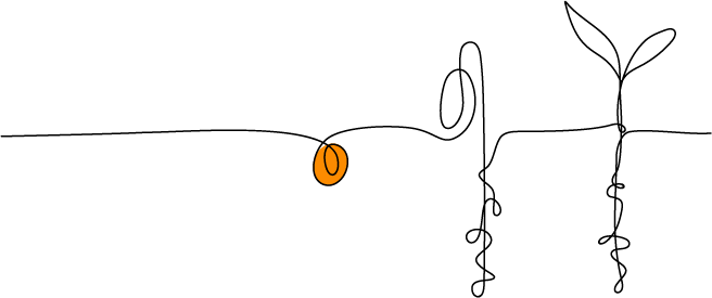 L.Design&Co process: 1. planting the seed