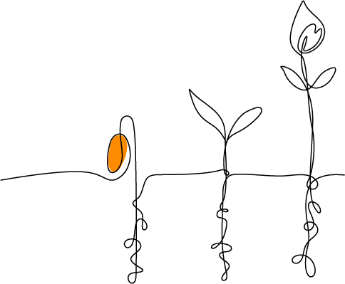 L.Design&Co process: 2. strategic-root