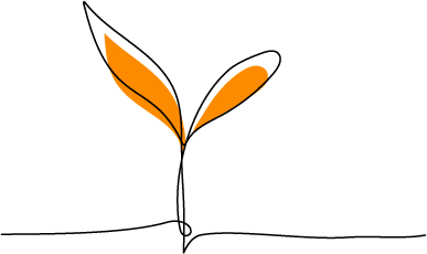 L.Design&Co process: 3. sprouting ideas