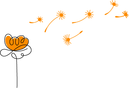 L.Design&Co process: 6. continued growth support